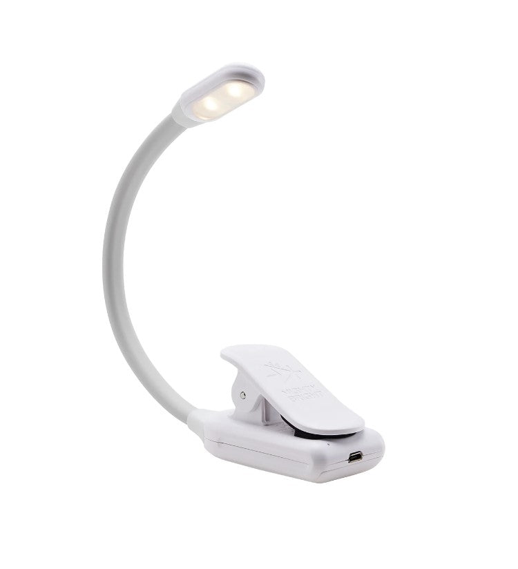 LED Clip-On Light (PS-999)